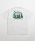 Nike ACG Goat T-Shirt in Summit White