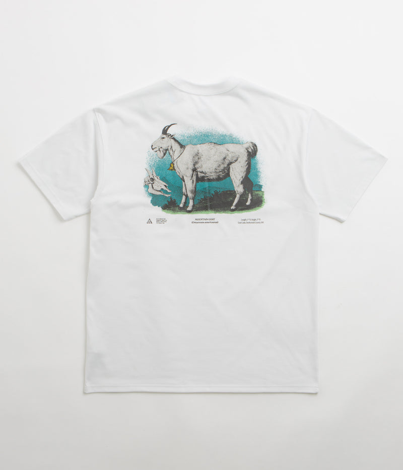 Nike ACG Goat T-Shirt in Summit White