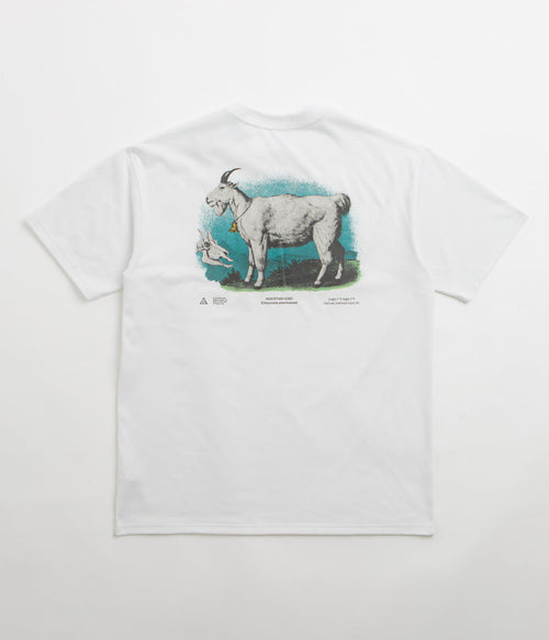 Nike ACG Goat T-Shirt in Summit White