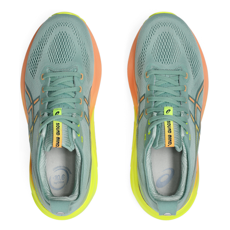Asics Gel Kayano 31 Paris
