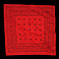Boot Track Bandana