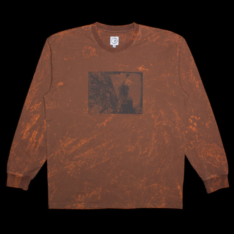 Polar Leaves and Windows L/S Tee