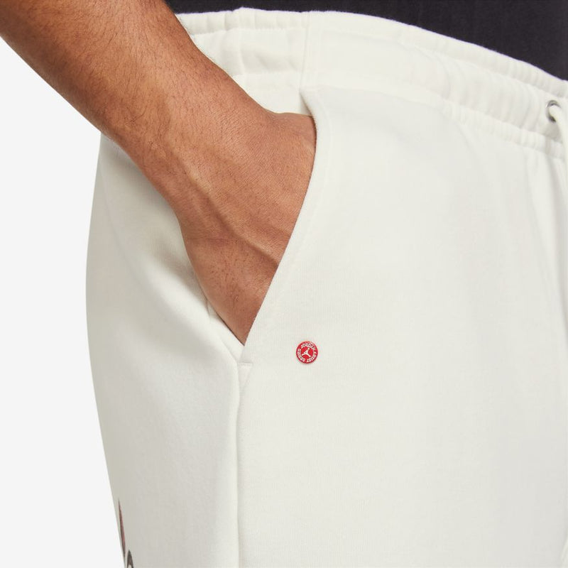 Men's Jordan Flight Artist Fleece Shorts