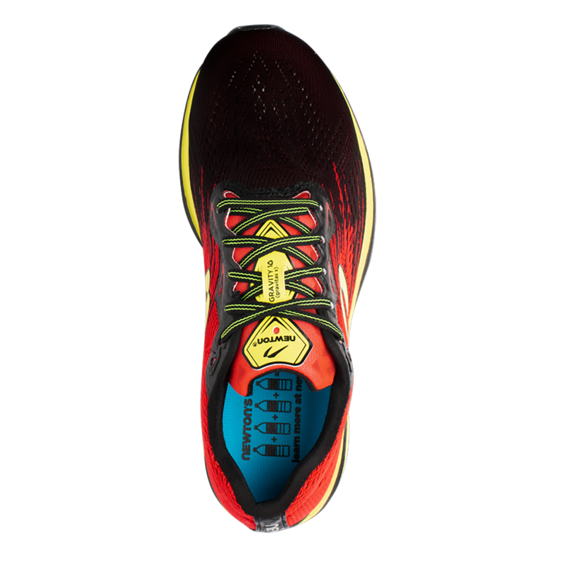 Newton Gravity 10