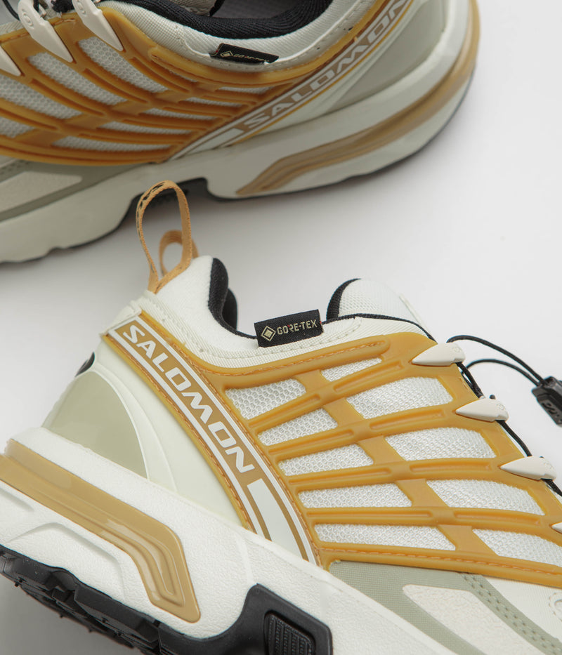 Salomon ACS Pro GTX Shoes in Icicle and Antelope / Tea