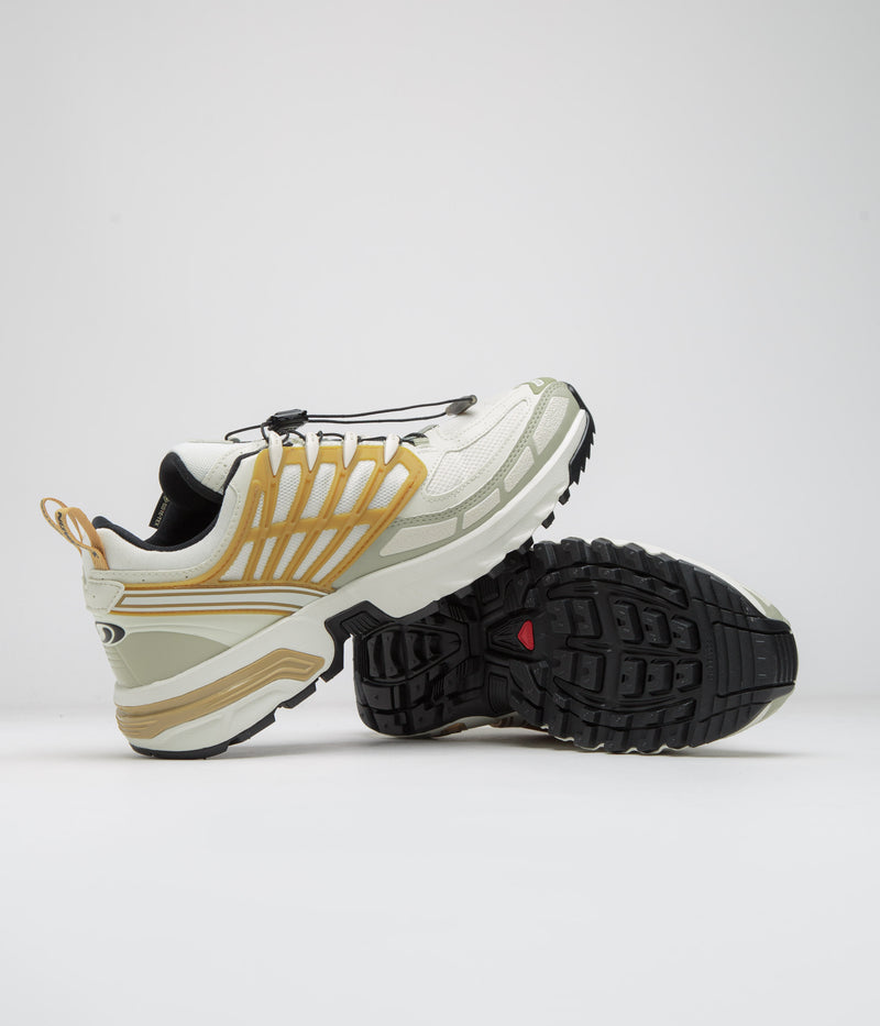 Salomon ACS Pro GTX Shoes in Icicle and Antelope / Tea
