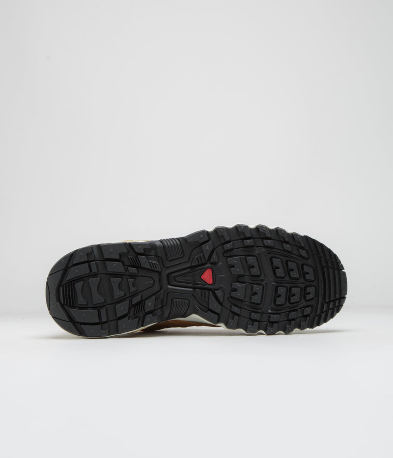 Salomon ACS Pro GTX Shoes in Icicle and Antelope / Tea
