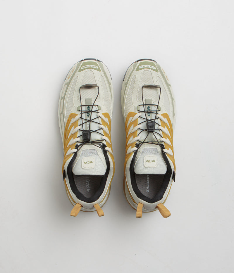 Salomon ACS Pro GTX Shoes in Icicle and Antelope / Tea