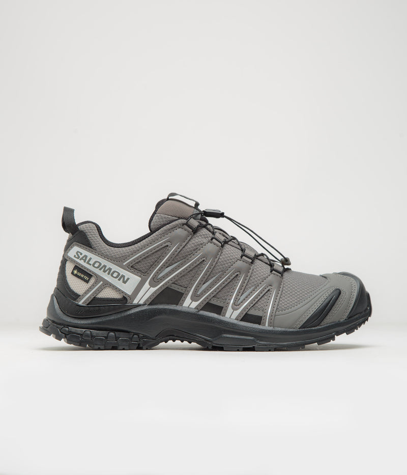 Salomon XA Pro 3D GTX Shoes in Pewter and Black / Silver Cloud