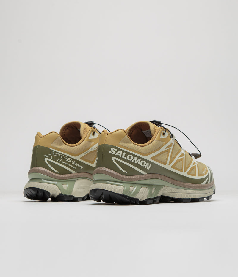 Salomon XT-6 GTX Shoes in Antelope and Icicle / Portabella