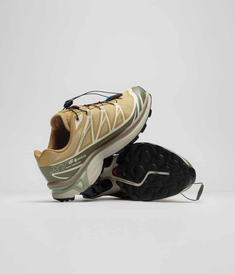 Salomon XT-6 GTX Shoes in Antelope and Icicle / Portabella