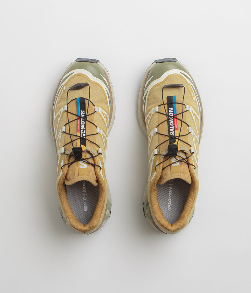 Salomon XT-6 GTX Shoes in Antelope and Icicle / Portabella