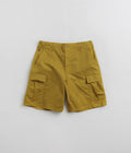 Nike SB Kearny Cargo Shorts in Bronzine