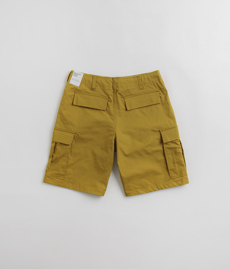Nike SB Kearny Cargo Shorts in Bronzine